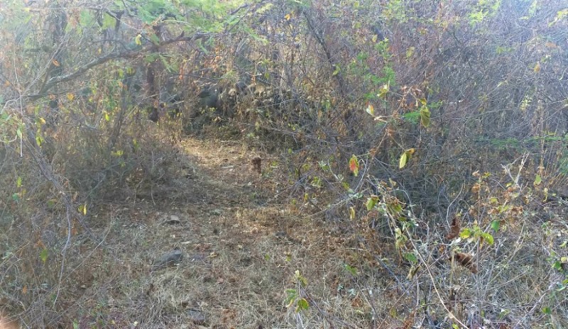 Terreno en venta Universidad Chapala-1