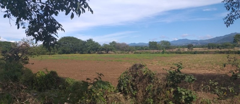 Terreno La Desembocada – Puerto Vallarta