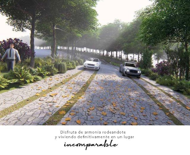 Desarrollo Residencial Constanza